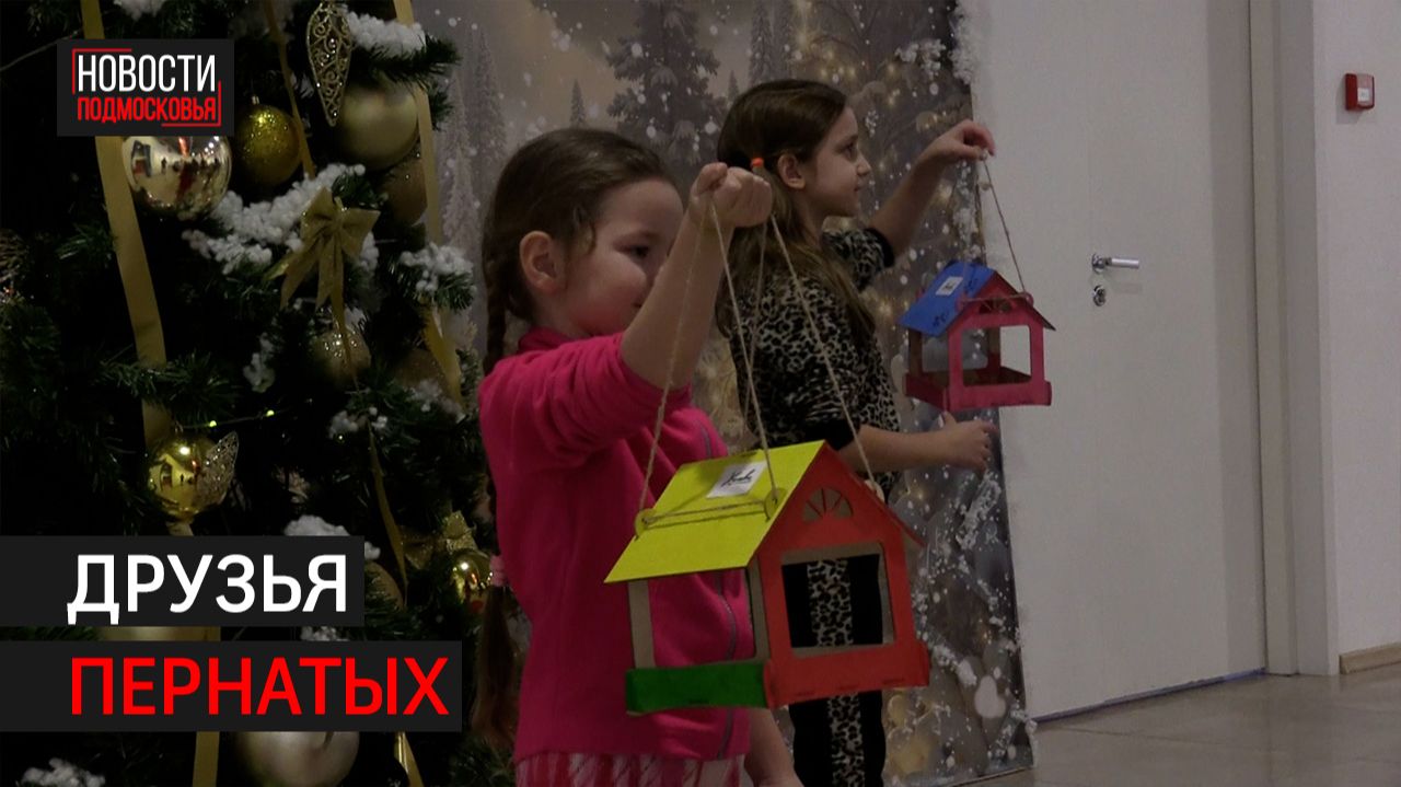 Жители Химок сделали кормушки для птиц // 360 ХИМКИ смотреть онлайн