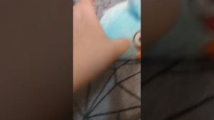 играю в бад пигиес в риал лайф