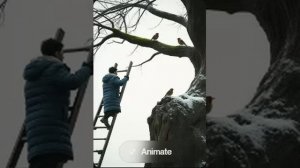 Иосиф Бродский — Садовник в ватнике, как дрозд (вар2)