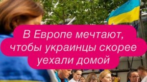 Что говорят европейцы об украинских беженцах. #новости #беженцыизукраины