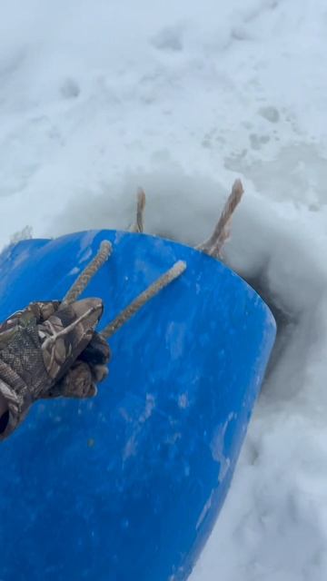 Запуск форели смотреть онлайн