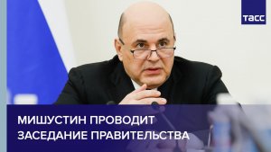 Мишустин проводит заседание правительства