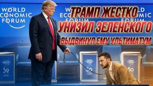 ТАМИР ШЕЙХ / ТРАМП УНИЗИЛ ЗЕЛЕНСКОГО И ВЫДВИНУЛ ЕМУ УЛЬТИМАТУМ. новости