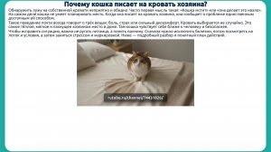 Почему кошка писает на кровать хозяина?