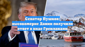 Сенатор Пушков: высокомерие Дании получило ответ в виде Гренландии
