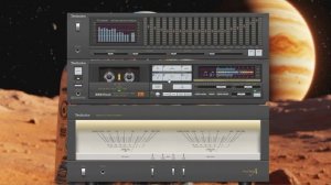 Fog on the forest floor