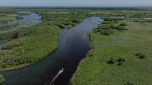 Дом лосося_1080_фильм