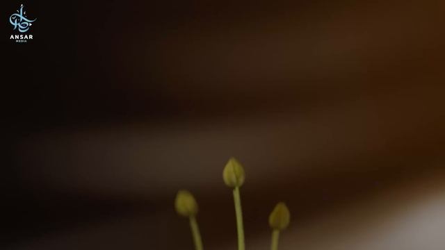 КАК отчистить СЕРДЦЕ? | ВЗГЛЯД, ЛИШАЮЩИЙ РАЯ смотреть онлайн