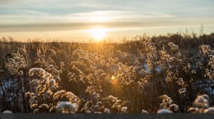 Особый праздник 23 января — Григорий Летоуказатель: история, традиции, приметы