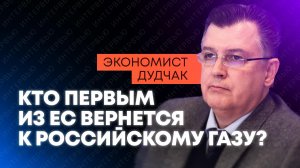 Дудчак: отказ от российского газа уничтожил промышленность Европы
