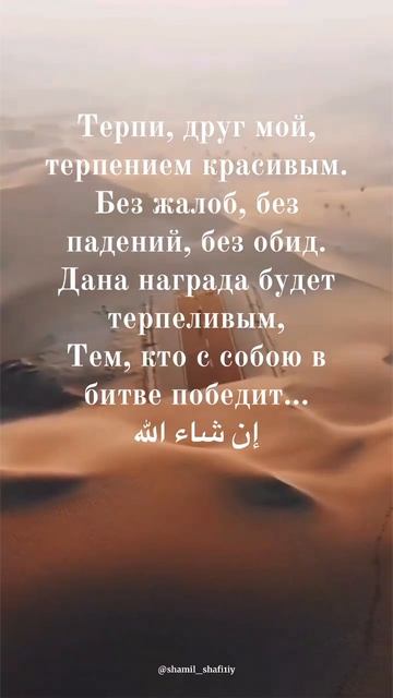 Красивый стих о терпении. Шейх Шамиль аш-Шафи'ий. смотреть онлайн