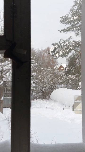 Капустный пирог 