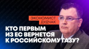 Дудчак: отказ от российского газа уничтожил промышленность Европы