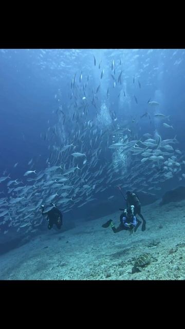 Opus 12 «Под водой». Музыкальная композиция Андрея Субботина смотреть онлайн