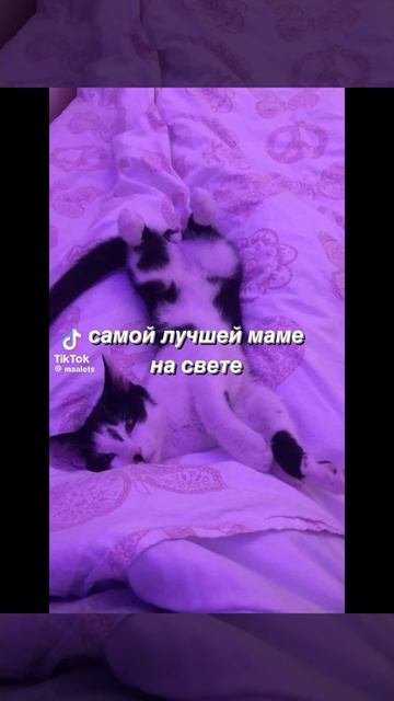 абризайте берите маме смотреть онлайн