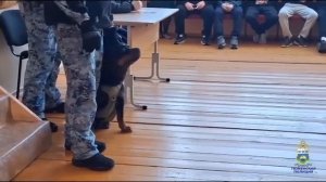 В Тюменской области проходит акция «Студенческий десант»