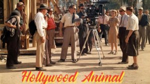 Hollywood Animal