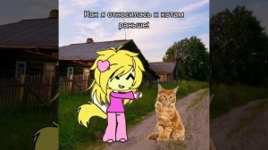 У меня раньше был кот, а щас собака