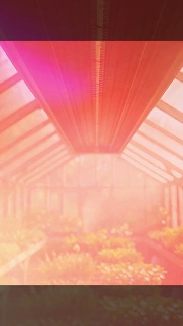 Инфракрасный потолочный обогреватель Теплофон SUNRAIN 2.0 смотреть онлайн