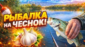 Реакция рыбы на чеснок ! Такого улова я не ожидал ! Успешная вышла рыбалка