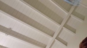 бабочка асмр