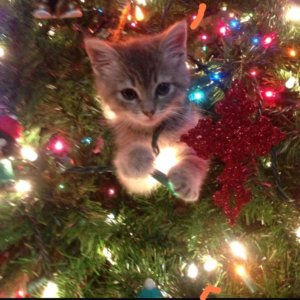 выживание в Майнкрафте