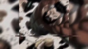 HYPNOSAES RENICHT ESPECTRAL - PNK GST ZL - Slowed Reverb TikTok Versión Beard Mark Edit [get.gt].mp4