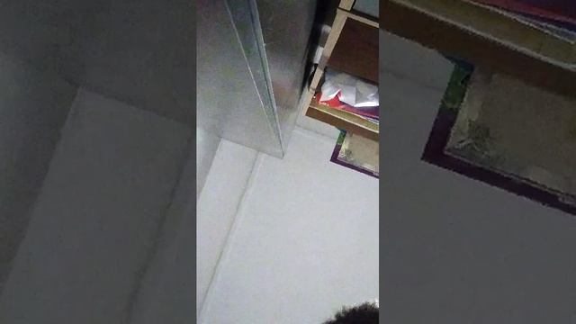 ШАМПУНИ смотреть онлайн