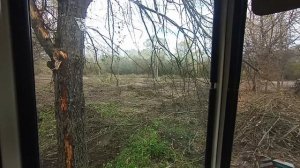 давайте жить вместе ,
уже чистим