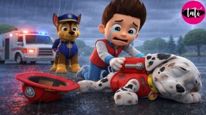 Щенячий патруль и Маршалл. Залипательное видео. Мультфильм для детей и малышей. Анимация 101