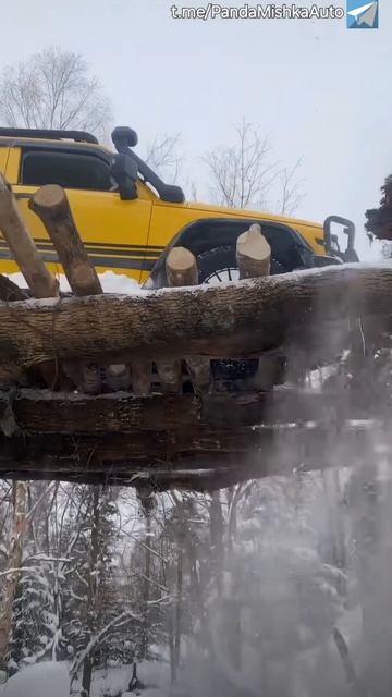 Tank 300 по следам девяточки 😉 #auto #offroad #tank300 #автоизкитая смотреть онлайн