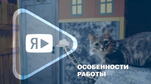 ОСОБЕННОСТИ РАБОТЫ / Компания помогла инклюзивному проекту трудоустроить людей с ОВЗ