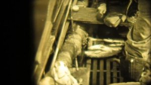 1991г. РЫБАЛКА НА р.ВАГЕ