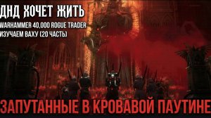 Warhammer 40,000 Rogue Trader изучаем Ваху ( 20 часть )