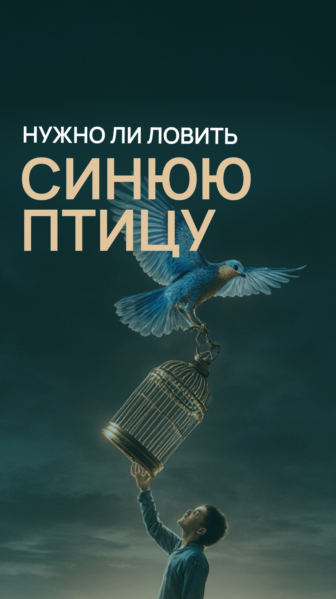 Нужно ли ловить синюю птицу смотреть онлайн