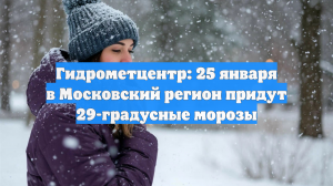 Гидрометцентр: 25 января в Московский регион придут 29-градусные морозы
