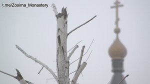 "Ты знаешь, смерти нет..."  Посвящается всем братиям и сестрам обители сия, отошедшим ко Господу.