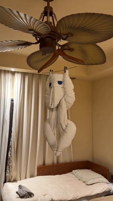 Обезьяна на вентиляторе 😂 Grand Waterworld Makadi 5* смотреть онлайн