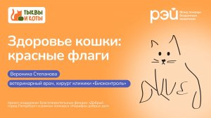 Здоровье кошки: красные флаги