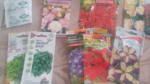 22.01.2026 Новый день - новые семена.