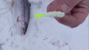 Рыбалка на Спорт-зоне до запуска. Клёвое место Лосиный остров.