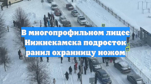 В многопрофильном лицее Нижнекамска подросток ранил охранницу ножом