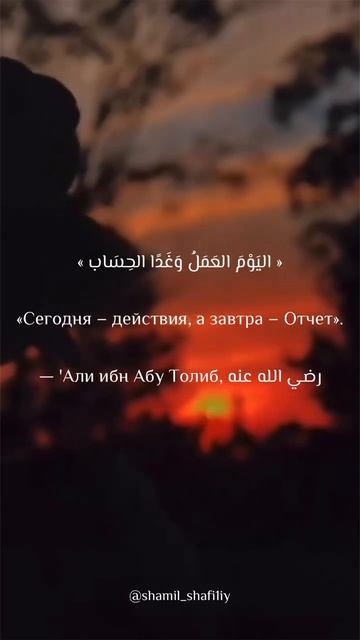 Мощное напоминание Имама 'Али (да будет доволен Им Аллагь). Шейх Шамиль аш-Шафи'ий. смотреть онлайн