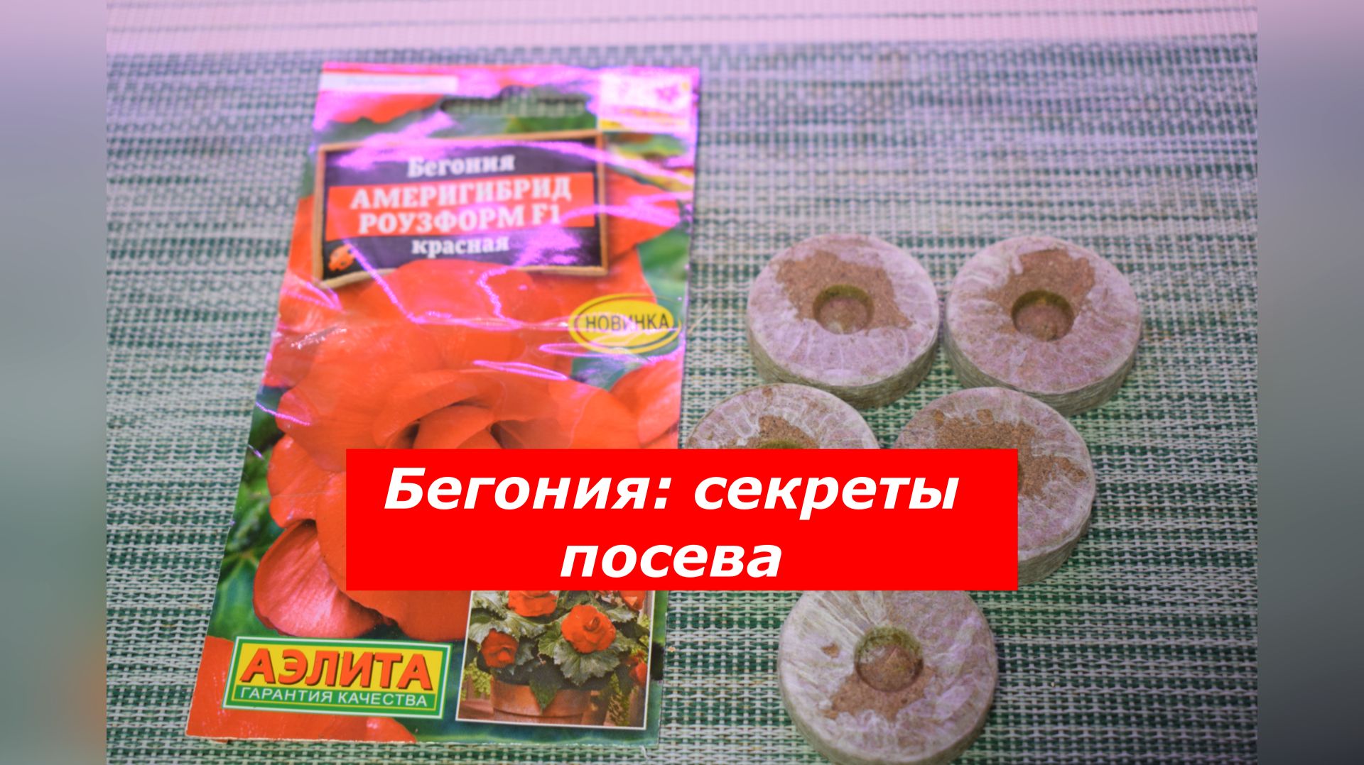 Бегония: секреты посева смотреть онлайн