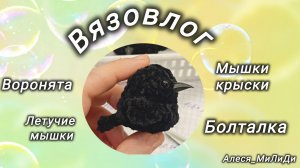 Влог седьмой