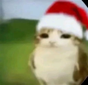 я дома
стрим и комп