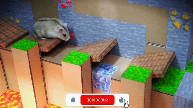 Маленький хомячок исследует секреты Эйнштейна, бродя по океану физики со своими братьями. смотреть онлайн