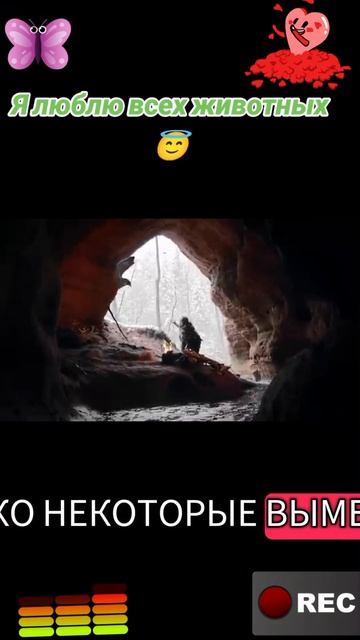 Я люблю всех животных😇 смотреть онлайн
