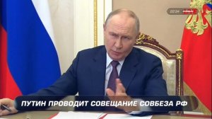 Владимир Путин оценил примерную стоимость Гренландии