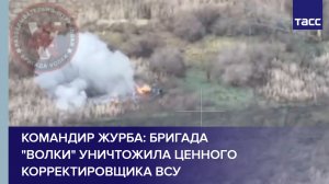 Командир Журба: бригада Волки уничтожила ценного корректировщика ВСУ